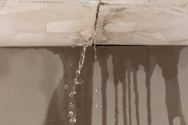 Professional Burst Pipe Cleanup technician working in Atlanta, TX